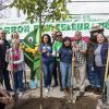 Arbor Day