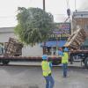 Street Tree Heavy Machinery