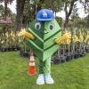 Arbor Day Celebration
