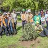 Arbor Day Celebration