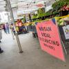 Los Angeles City Farmers Markets