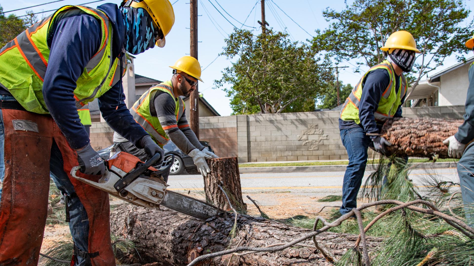 Urban Forestry