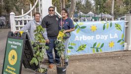 Arbor Day