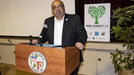 Adel at Tree Summit